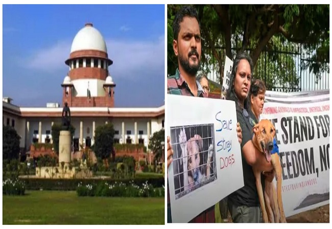 सुप्रीम कोर्ट का बड़ा फरमान, बोला -‘डॉग लवर्स 25,000 और NGO जमा करें 2 लाख रुपये वरना…’