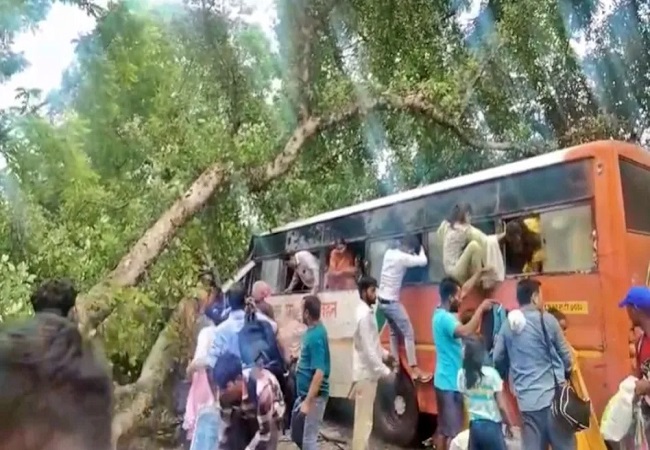 चलती रोडवेज बस पर गिरा पेड़, चार महिलाओं सहित पांच की मौत, बाराबंकी से हैदरगढ़ जा रही थी बस