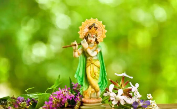 Krishna Janmashtami 2025 : भगवान कृष्ण को पसंद है ये फूल , जन्माष्टमी पर गोपाल को करें अर्पित