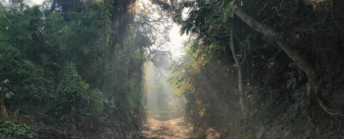 कनाडा के एक रिटायर्ड अफसर को जंगल में घूमना पड़ा महंगा 18 लाख का लगा जुर्माना