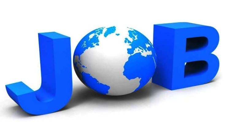 भारत हैवी इलेक्ट्रिकल्स लिमिटेड में बंपर भर्ती, 8 अगस्त तक कर सकतें हैं आवेदन