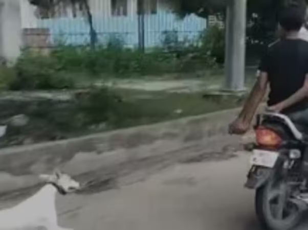 Viral news: lucknow में 3 युवकों की क्रूरता देखकर लोग के काँप उठे रूह , कुत्ते को बाइक में बांधकर कई किमी दौड़ाया