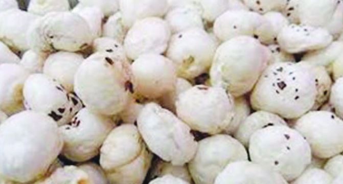 बिहार का मखाना अब ब्रिटेन में बिखेरेगा अपनी ताकत व महक