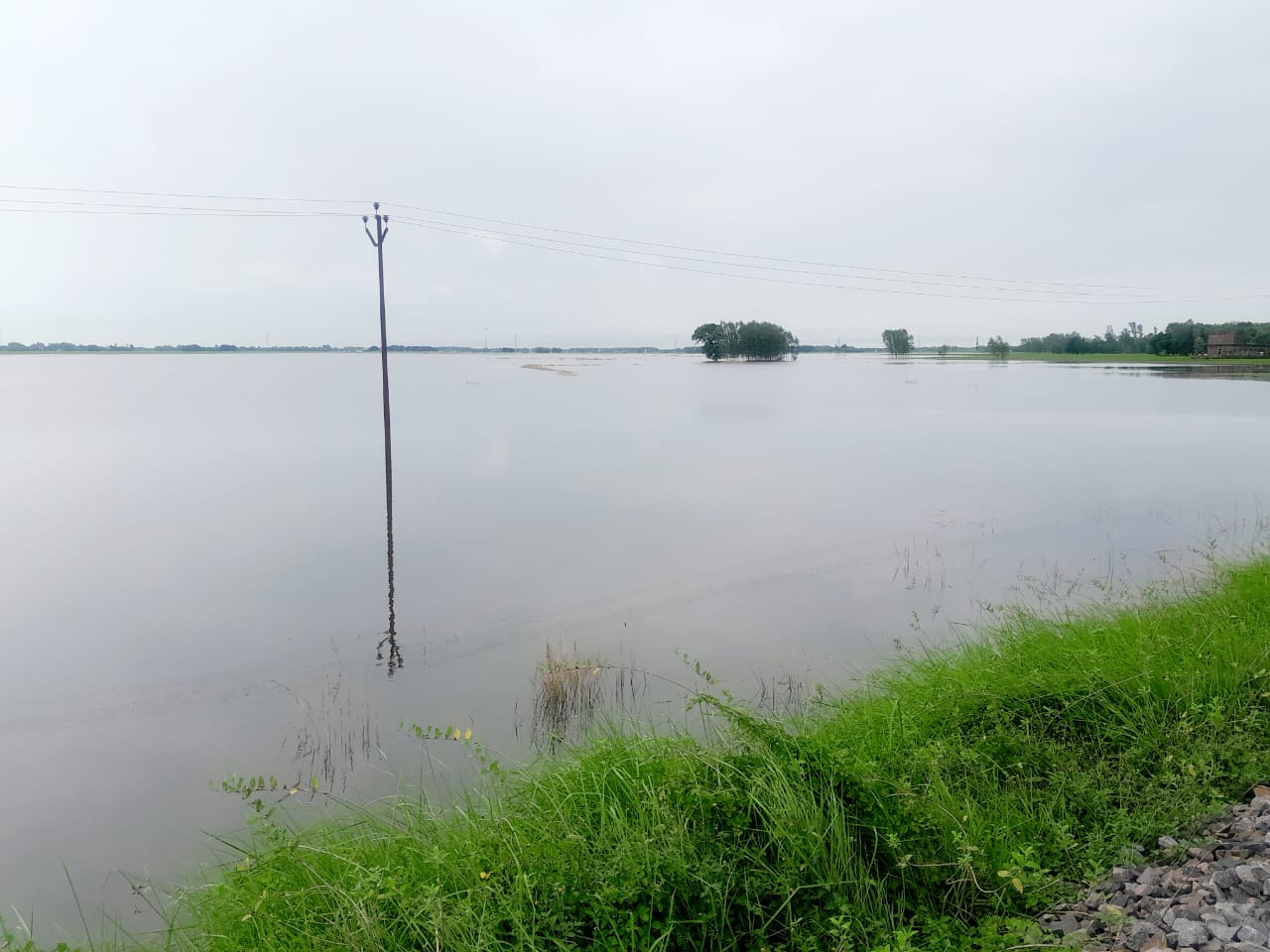 बाढ़ से तबाह फसलें,किसानों ने मुख्यमंत्री से की मुआवजे की मांग