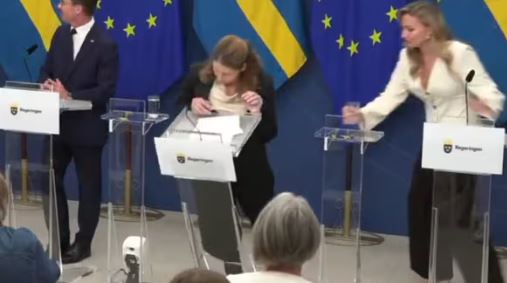 Swedish Health Minister Elisabet Lann : स्वीडन की नई स्वास्थ्य मंत्री प्रेस से बात करते समय बेहोश हो गईं, मंच पर गिर पड़ीं