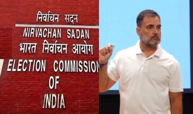 राहुल गांधी के आरोपों को चुनाव आयोग ने किया खारिज, कहा-वोट ऑनलाइन नहीं किए जा सकते हैं डिलीट