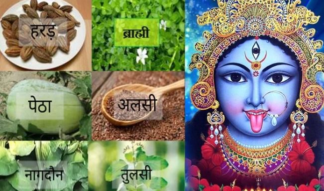 Sharadiya Navratri 2025 :  देवी दुर्गा के अंश हैं ये औषधि पौधे , जानें किस वनस्पति में कौन सी देवी का वास है ?