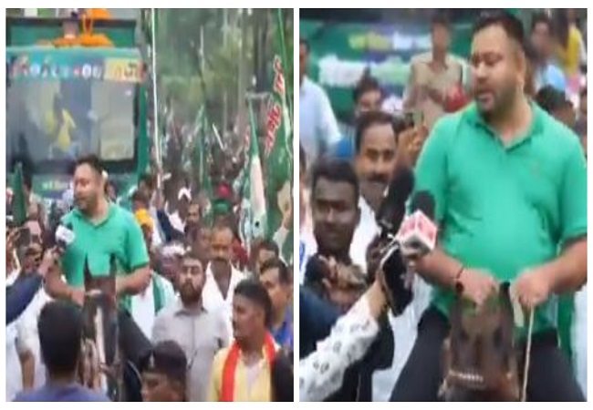 बिहार चुनाव: घोड़े की सवारी कर तेजस्वी यादव ने दी छोटे सरकार को चुनौती- देखे वीडियो