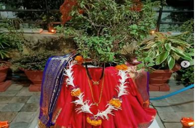 Kartik Tulsi Puja : कार्तिक मास में जरूर करें तुलसी पूजन , इस दिन पत्तों को नहीं तोड़ना चाहिए