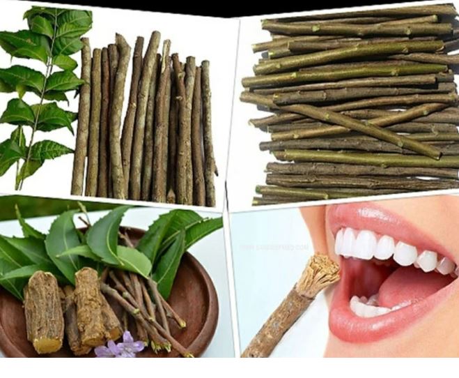 Neem – Babool Daatoon : लोक जीवन समृद्ध हुआ तो बहुराष्ट्रीय कंपनियों में ताले लग जाएंगे , भटकिए मत, चले आइए नीम – बबूल  दातून की तरफ