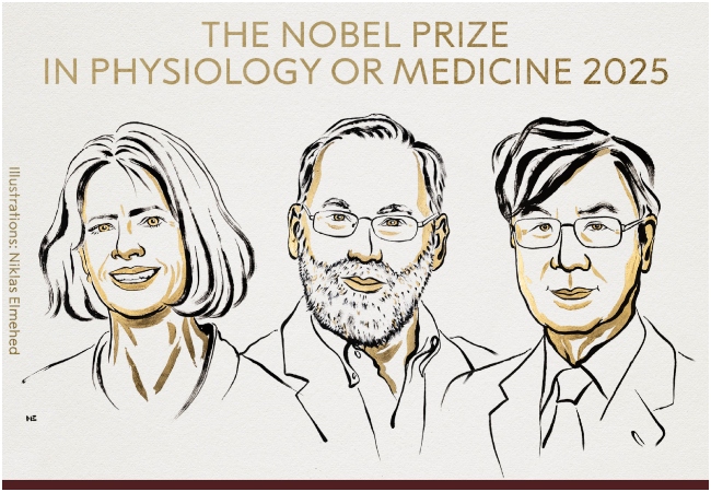 Nobel Prize 2025: चिकित्सा के क्षेत्र में नोबेल पुरस्कार की घोषणा, मैरी ई. ब्रुनको, फ्रेड रामस्डेल और शिमोन साकागुची होंगे सम्मानित