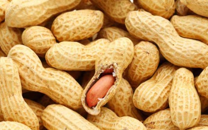 Winter Superfoods : सर्दियों की सुपरफूड मूंगफली एनर्जी बढ़ाती है , फायदे जान लेंगे तो  रोज खाएंगे