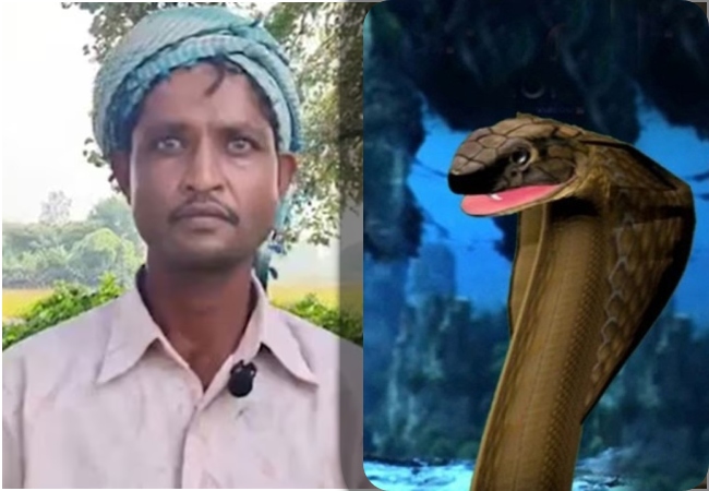 ‘मेरी पत्नी रात में नागिन बन जाती है और मुझे डराती है…’ सीतापुर DM के पास फरियाद लेकर पहुंचा पति