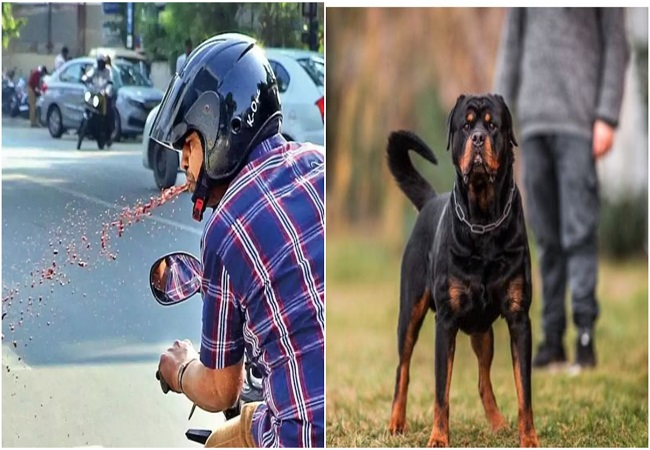 Varanasi News : वाराणसी नगर निगम ने शहर की स्वच्छता के लिए लागू की नई नियमावली , अब थूकने पर 250 और पालतू कुत्ते के मल त्याग पर वसूलेगा 500 रुपये जुर्माना