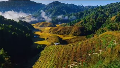 Winter Best Travel Destinations : सर्दियों में जीरो वैली में देवदार देंखे की पहाड़ियों का नजारा , मौसम साल भर सुहावना रहता है