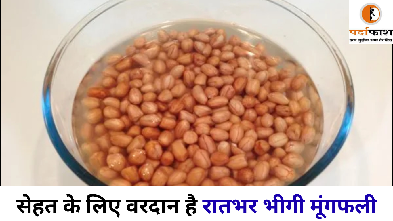 Health Tips : भीगी मूंगफली में छिपा है सेहत का खजाना , रोज सुबह खाने से मिलेंगे ये फायदे