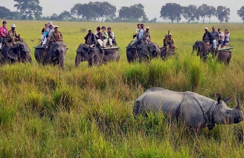 Kaziranga National Park : काजीरंगा राष्ट्रीय उद्यान में पर्यटकों के लिए हाथी सफारी खुली , संशोधित दरें लागू