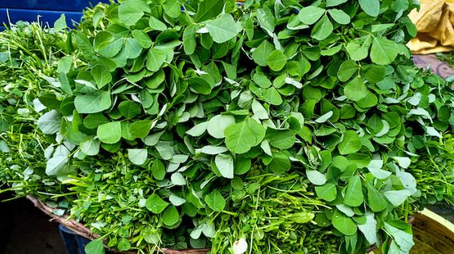 Methi Saag : सर्दियों की थाली में शामिल करें मेथी का साग , कई बीमारियों से रखता है दूर