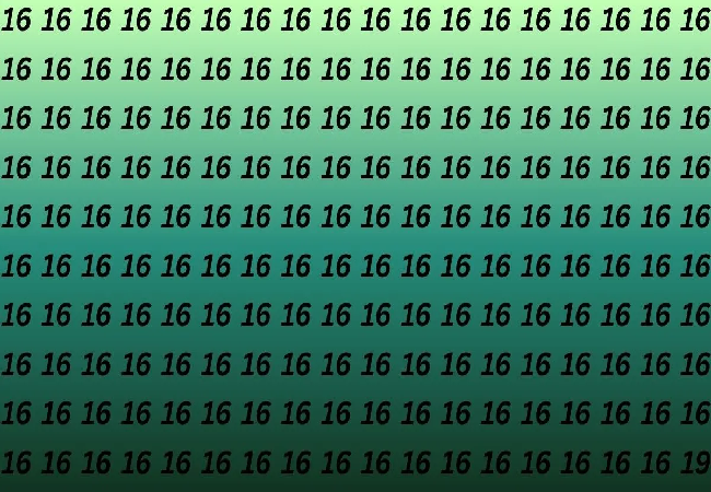 Viral News : अब तक का सबसे कठिन चैलेंज ! 16 की भीड़ में 19 ढूंढ़े, सफल होते ही कहलाएंगे चैंपियन