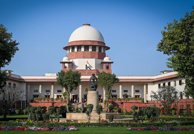 आवारा कुत्तों के शिकार हुए लोगों की बात सुनेगा सुप्रीम कोर्ट , तारीख का किया ऐलान