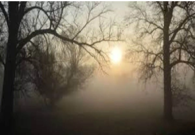 UP Weather Update: यूपी में जल्द बदलेगा मौसम , जानें क्या है IMD का पूर्वानुमान