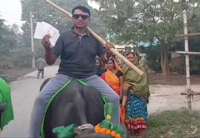 Bihar Election 2025 : ई बिहार बा… वैशाली में भैंस पर चढ़कर वोट डालने पहुंचा युवक