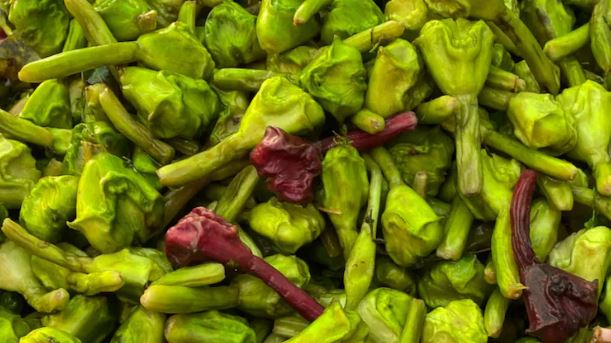 Chestnuts : कच्चे सिंघाड़े से वजन घटाने में मिलेगा चमत्कारी रिजल्ट , स्वाथ्य जोखिम को कम करने में  करता है  मदद 