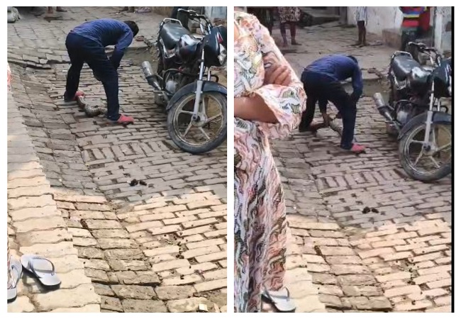 कानपुर में युवक बना हैवान, बीच सड़क पर पैरो से दबा चाकू से अजगर का पेट फाड़ा, वीडियो हुआ वायरल