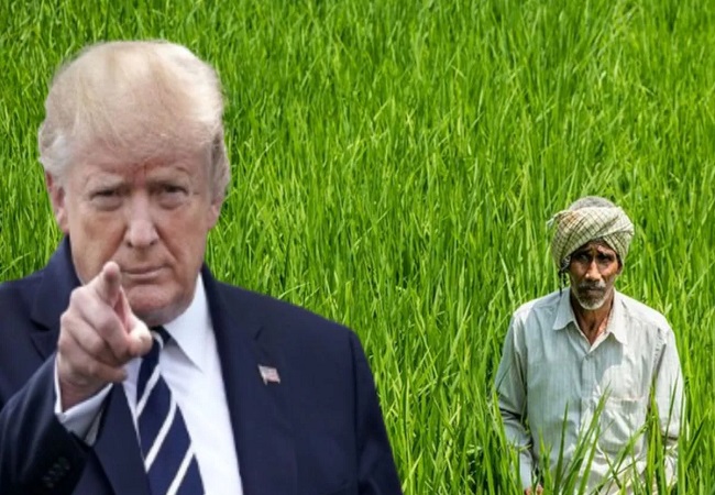 भारतीय किसानों की हुई चांदी, अमेरिकी राष्ट्रपति डोनाल्ड ट्रम्प ने टैरिफ किया रोलबैक, 200 से अधिक खाद्य उत्पादों से टैरिफ हटाया