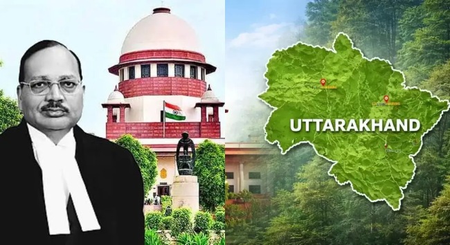 उत्तराखंड में वन भूमि ‘लूट’ का क्या खेल? CJI ने स्वत: लिया संज्ञान, बोले- जंगल पर हो रहा कब्जा , लेकिन राज्य सरकार और अधिकारी बने रहे मूक दर्शक
