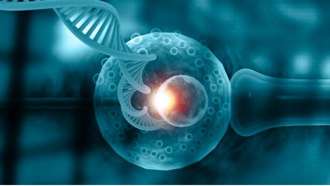 Research Report : पुरुषों की घट रही है प्रजनन क्षमता, इन कारणों से बढ़ रही है समस्या