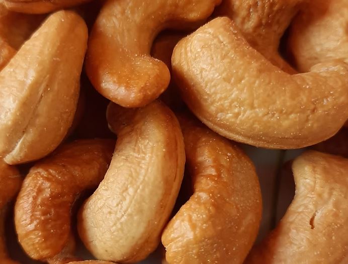 Winter Cashews :  सर्दियों में भुने काजू खाना शरीर को रखता है गर्म,  जानें इसके फायदे