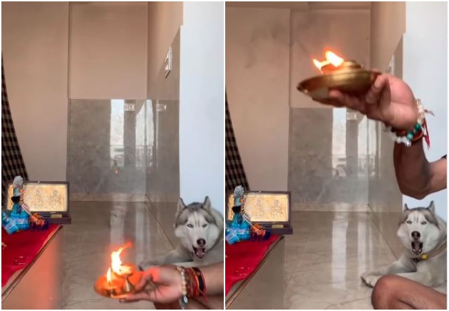 Video Viral : मंदिर में आरती शुरू होते ही हस्की मिलाया सुर, यूजर्स बोले- सनातनी कुत्ता
