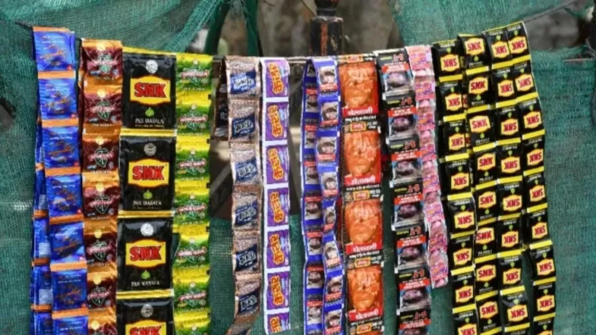 पान मसाला खाने वालों को सरकार ने दी बड़ी खुशखबरी,  नये आदेश से खरीदारों को होगा सीधा फायदा