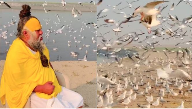 Video-संत प्रेमानंद महाराज के पोस्ट सोशल मीडिया मचाया तहलका , महज चार घंटे में मिले 16 लाख से अधिक लाइक