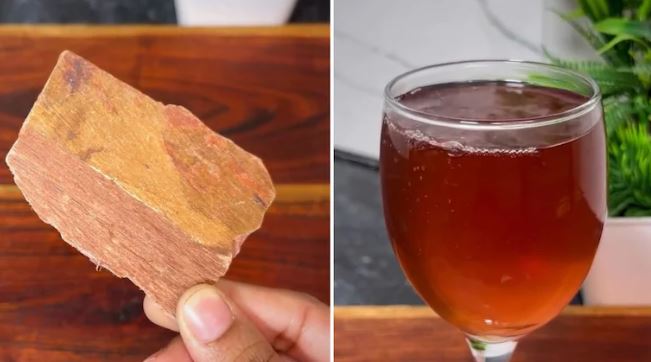 Arjun Ki Chaal : अर्जुन की छाल को महाऔषधि माना जाता है , जानें इसकी तासीर और उपयोग