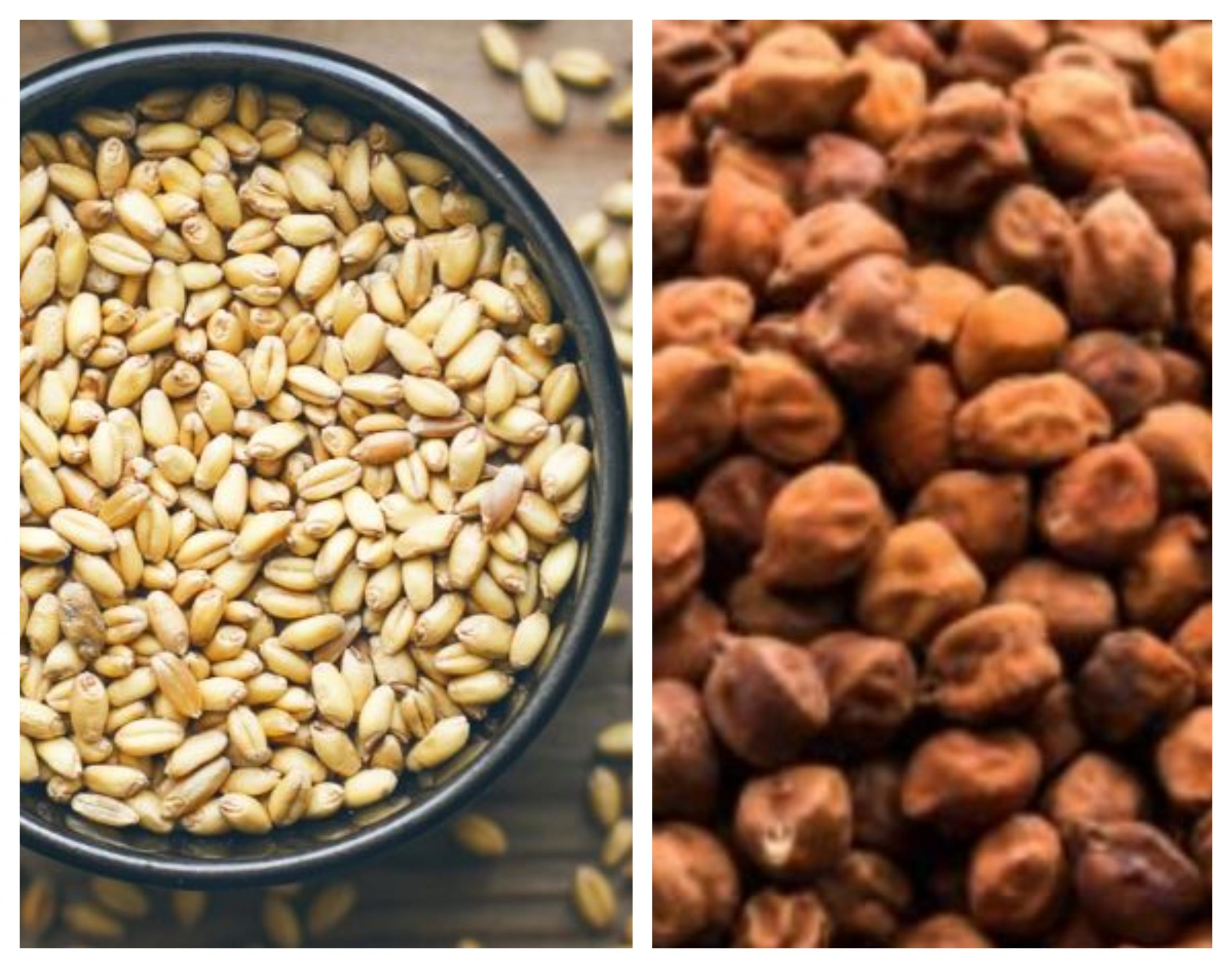 Black Gram Mixed With Wheat Flour :  गेहूं पिसवाते समय मिलाएं काला चना, इस आटे को खाने से कई चौंकाने वाले फायदे होते हैं