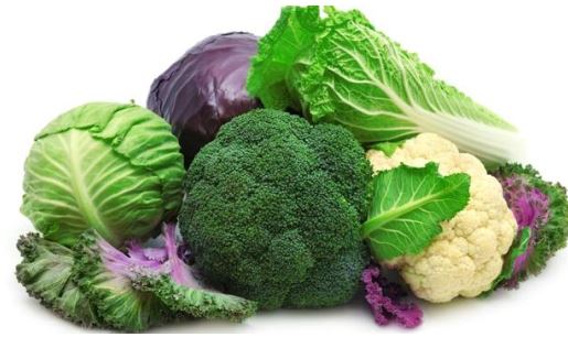 Broccoli and cabbage health tips : ब्रोकली और पत्ता गोभी सेहत के लिए फायदेमंद  ,  वजन कम काने के साथ भरपूर पोषण में असरदार