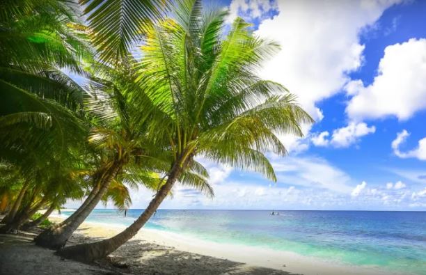  Coconut Island Tour : भागदौड़ और शोर-शराबे से दूर कोकोनट आइलैंड की करें सैर, नीला समुंदर बनाते हैं इसे परफेक्ट डेस्टिनेशन