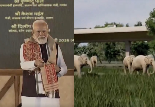 PM मोदी ने असम में काजीरंगा एलिवेटेड कॉरिडोर का शिलान्यास, 6957 करोड़ रुपये आएगी लागत