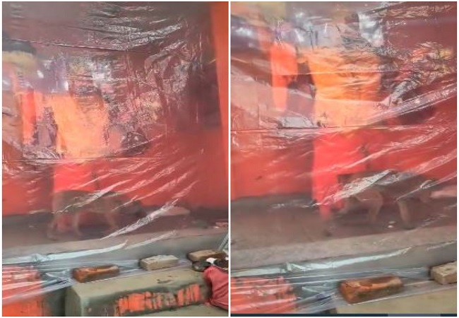 Video-बिजनौर के नगीना में कुत्ता 36 घंटे से हनुमान जी की प्रतिमा की कर रहा है परिक्रमा, चमत्कारिक दृश्य को देखने के लिए श्रद्धालुओं की भीड़ उमड़ी