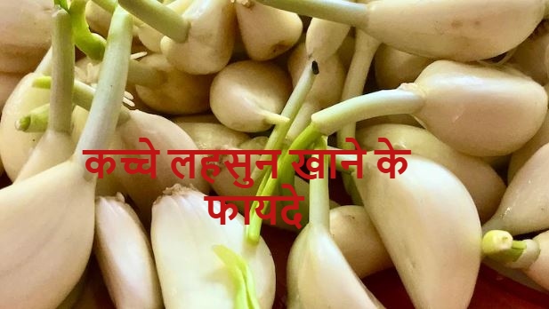 Raw Garlic For Men : कच्चा लहसुन खाना क्यों फायदेमंद माना जाता है? ,  जानें अनगिनत फायदे