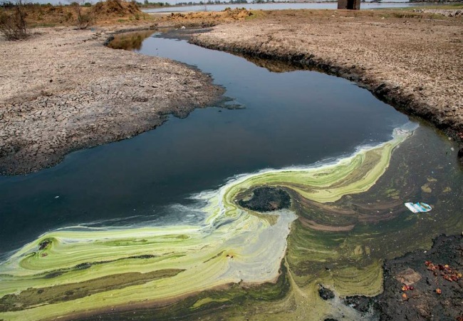 गाजीपुर एग्रो प्लांट से निकलने वाला जहरीला पानी 42 गावों के बच्चों को बना रहा है विकलांग, जल जीवन मिशन बना छलावा, प्रदूषित हैडपंप का पानी पीने को मजबूर लोग