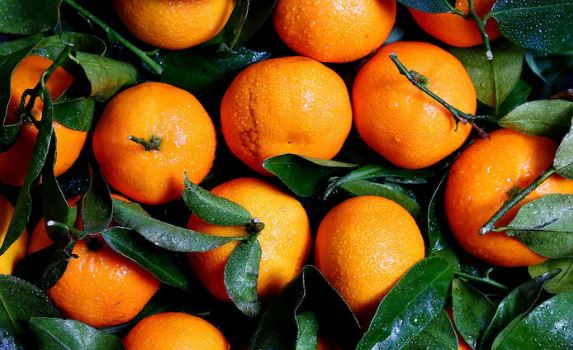 Weight Loss : बेली फैट से राहत देगा संतरा , जानें सेवन का सही तरीका