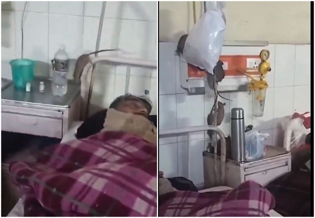 Video-गोंडा मेडिकल कॉलेज का नजारा देख चौंकिए मत, ये वॉर्ड इंसानों का है, चूहों का नहीं