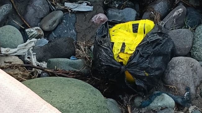 Jammu and Kashmir: पुंछ में नए साल पर घुसपैठ की साजिश नाकाम, सुरक्षाबलों ने ड्रोन से गिराया बैग किया बरामद