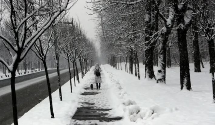 Poland cold :  पोलैंड में कड़ाके की ठंड  ,  50 से ज़्यादा लोगों की मौत