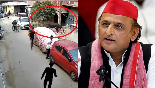 अगले चुनाव में जनता बुल और बुलडोज़र दोनों का इलाज कर देगी...अखिलेश यादव का भाजपा सरकार पर बड़ा हमला