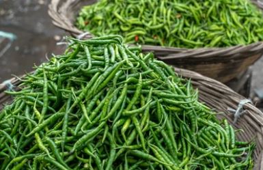 Green Chilly Benefits :  रोजाना 2 हरी मिर्च खाने से शरीर में होते है बदलाव , जानें नियमित सेवन के फायदे