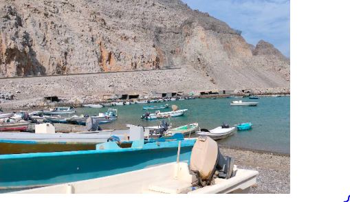 Iran-US War : ट्रंप का होर्मुज को लेकर बड़ा ऐलान, अमेरिका के साथ मिलकर कई देश भेजेंगे जंगी जहाज